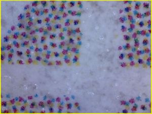 Anderer Detailausschnitt, der die Lackblasen deutlicher zeigt