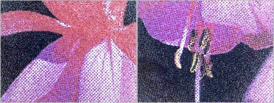 Detailausschnitte von der 400 Cent Fuchsie aus dem 10er Bogen – Blütenelemente Detailausschnitte von der 400 Cent Fuchsie aus dem 10er Bogen – Blütenelemente