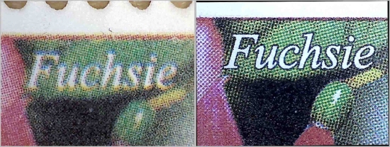 Ein Vergleich des Schriftzugs „Fuchsie“ links die Fälschung, rechts das Original Ein Vergleich des Schriftzugs „Fuchsie“ links die Fälschung, rechts das Original