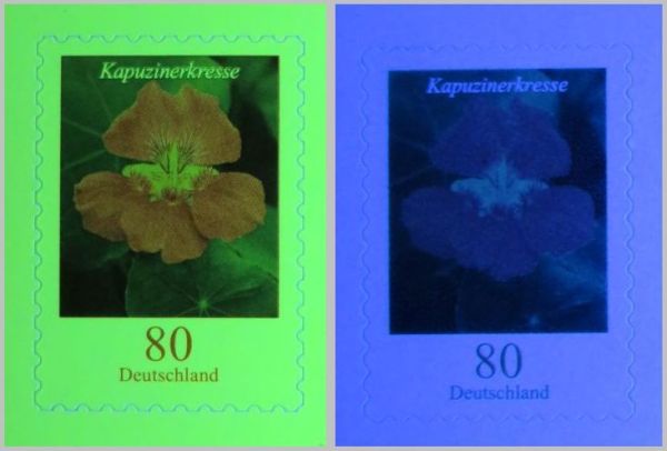 Vergleich der beiden Marken unter UV-Licht 365 Nanometer – links die echte Marke, rechts die Fälschung deutlich bläulich leuchtend Vergleich der beiden Marken unter UV-Licht 365 Nanometer – links die echte Marke, rechts die Fälschung deutlich bläulich leuchtend