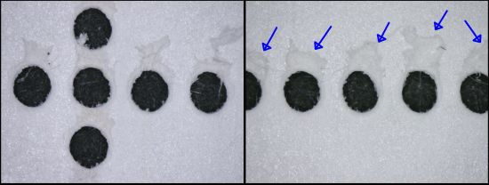 Zwei verschiedene Ausschnitte der Stanzlöcher von echten Marken mit Schleifperforation, die nicht immer ganz rund sind. Die blauen Pfeile zeigen die typischen Spuren der Schleifperforation