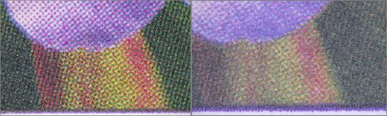 USB-Mikroskopauschnitt des Blütenstiels, links die echte Marke, rechts die Fälschung mit den stochastischen Raster