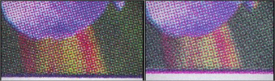 Mikroskopausschnitt der Blütenstiels der zwei unterschiedlichen Teilauflagen der chinesischen Fälschungen, links die Variante A, rechts die Variante B