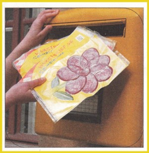 Hier wird gerade ein Wurstbrief (Großbrief - Entgelt 1,45 Euro) mit einer Salamiblume in einen Briefkasten eingeworfen